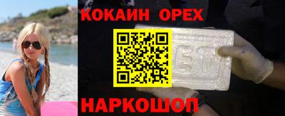 гидра Будённовск