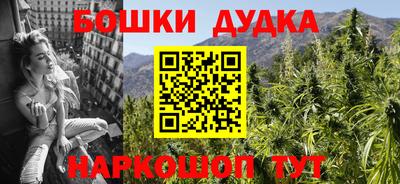 гидра Будённовск