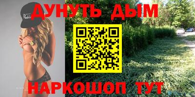гидра Будённовск