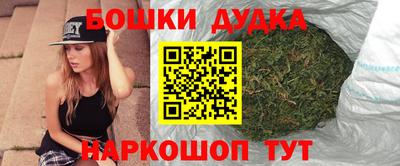 гидра Будённовск