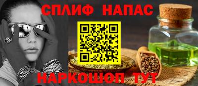 гидра Будённовск