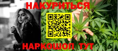 гидра Будённовск