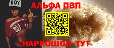 гидра Будённовск