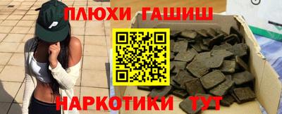 гидра Будённовск