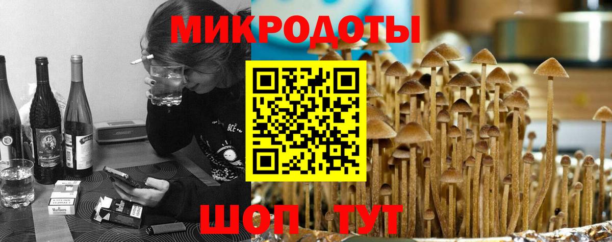 Псилоцибиновые грибы Psilocybine cubensis  Вход с VPN  Лянтор 